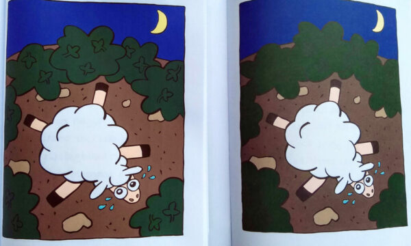 Vergleich Standard Farbdruck (links) und Premium Farbdruck (rechts)